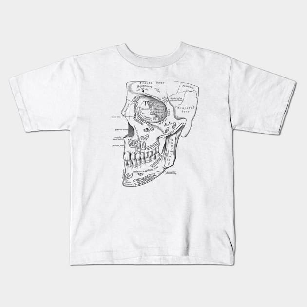 Human Body - Face Kids T-Shirt by be yourself. design